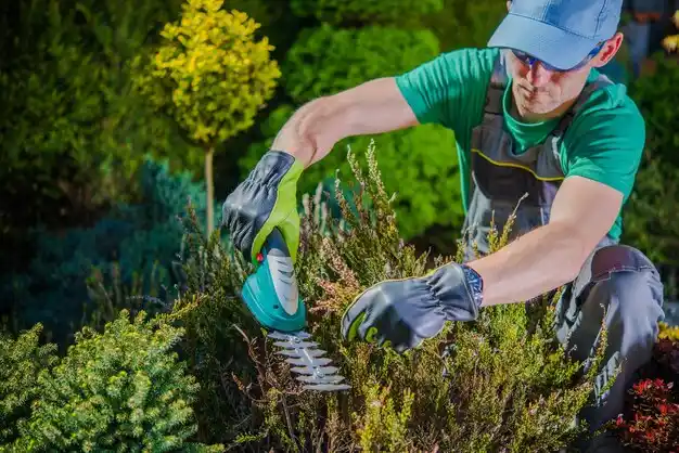 landscaping services Whitney Point